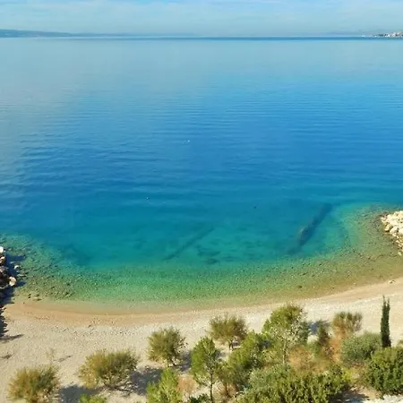 Lovely Omis